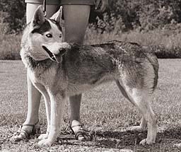 Duska of Seppala 1970