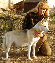 Isa Boucher with Karcajou's Dreama of Windigo, Seppala Siberian Sleddog foundation bitch.