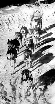 Last McFaul team 1962