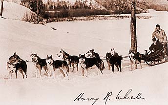 Wheeler team 1932 photo