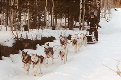 Tonya of Seppala and Sepallop, show the young Russians how to run fast