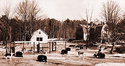 Cold River Kennels ph.